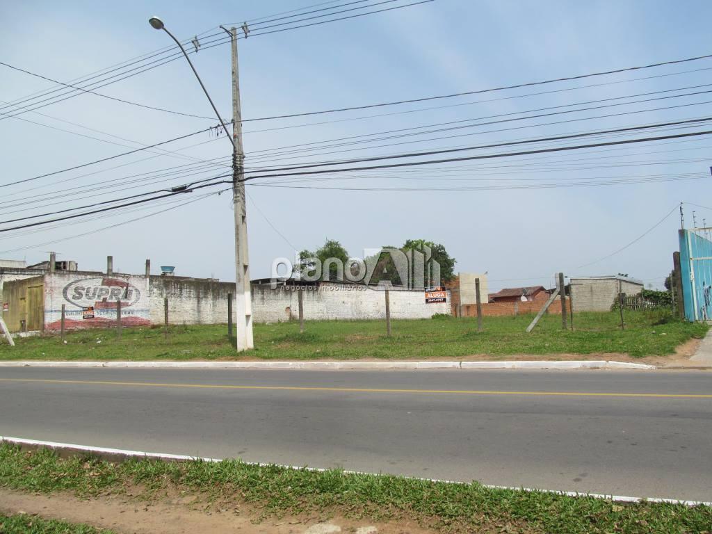 Locação de Terreno / Padrão na cidade de Gravataí