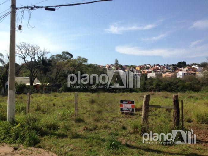 Venda de terreno / padrão na cidade de gravataí