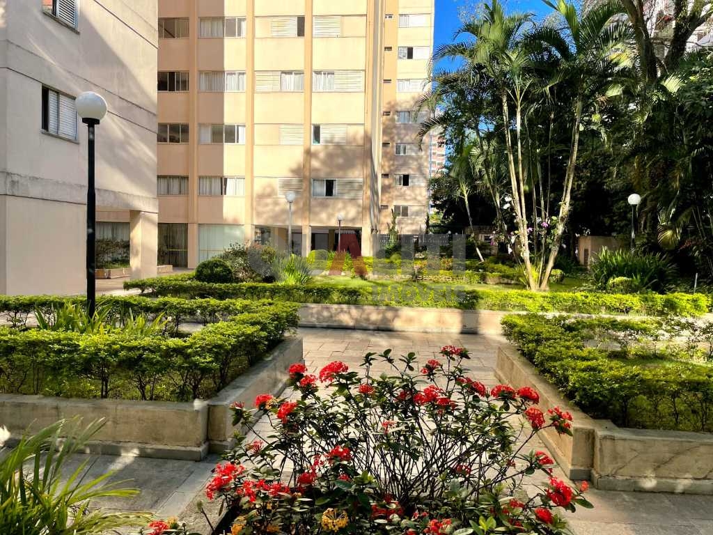 Apartamento à venda com 84m², 2 quartos, 1 suíte, closet, 1 vaga no Bairro de Santo Amaro.