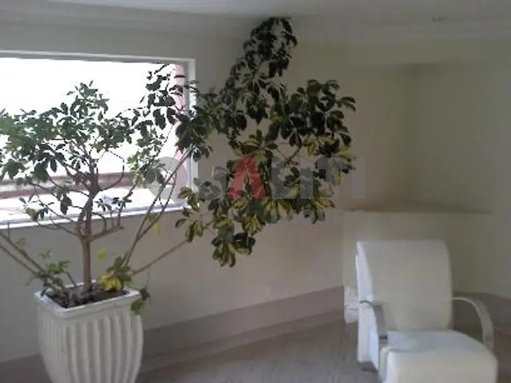 Apartamento para venda com 87 m², 3 dormitórios , 1 suíte, 1 vaga em Moema Índios