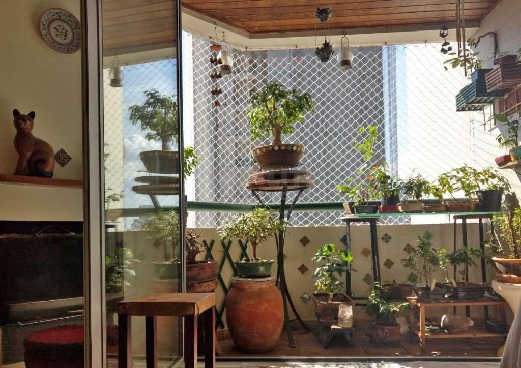 Excelente oportunidade apartamento 65m² 2 domitórios 1 vaga