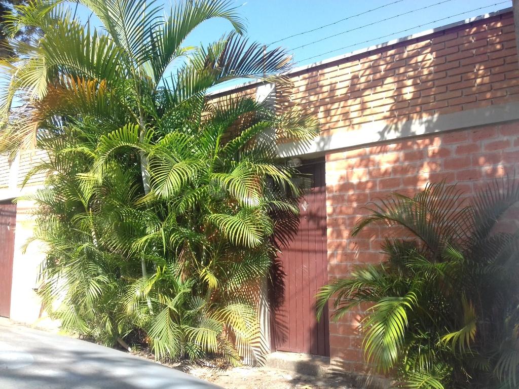 Casa 3 dormitórios à venda em Moema