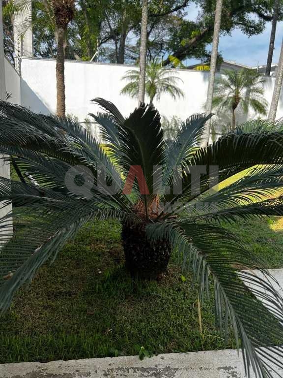 Casa a venda ou para locação no Jardim América