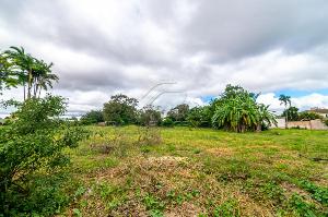 Terreno em Jardim Itatiaia 2. Foto 2