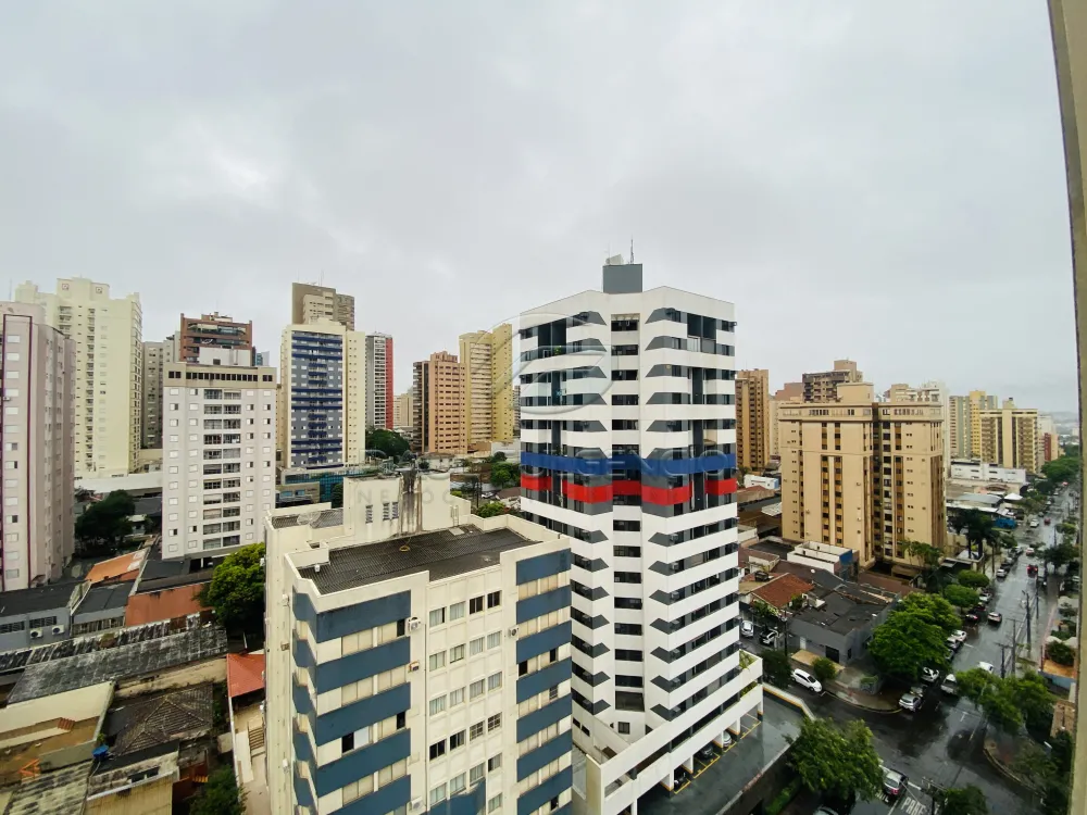Ed Caramuru — foto 5