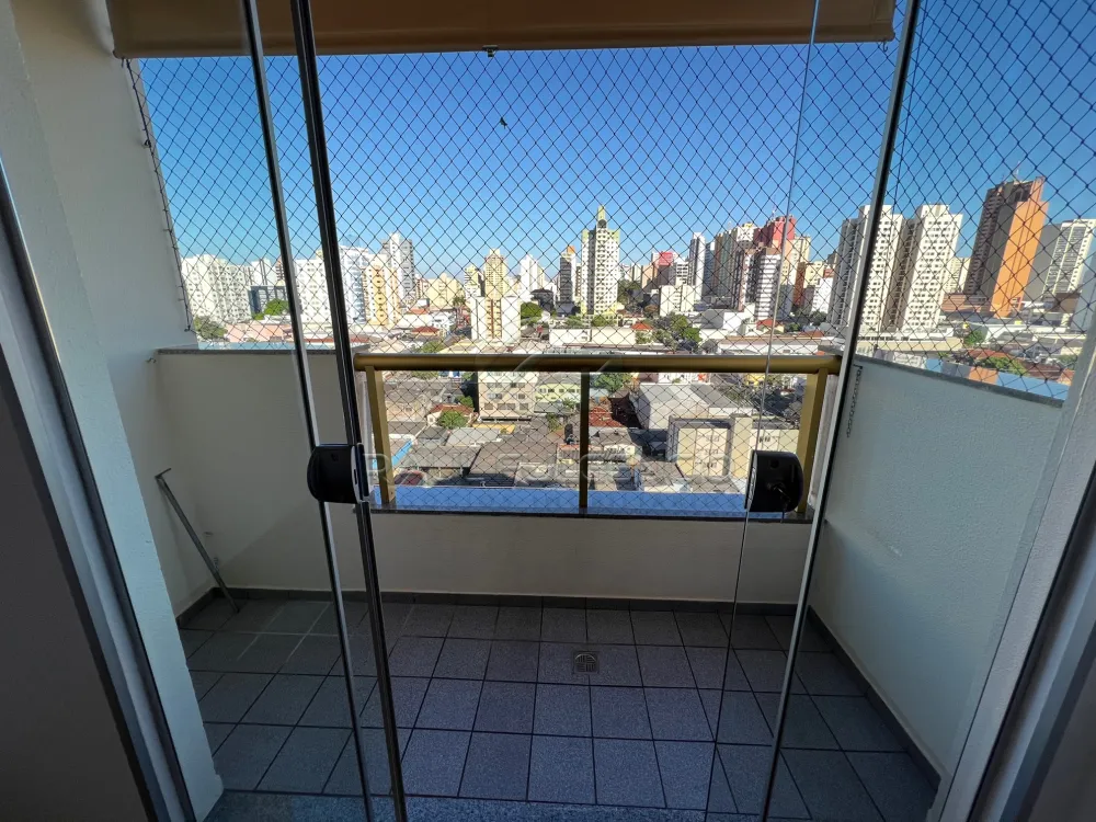 Ed Torres Brasil — foto 4