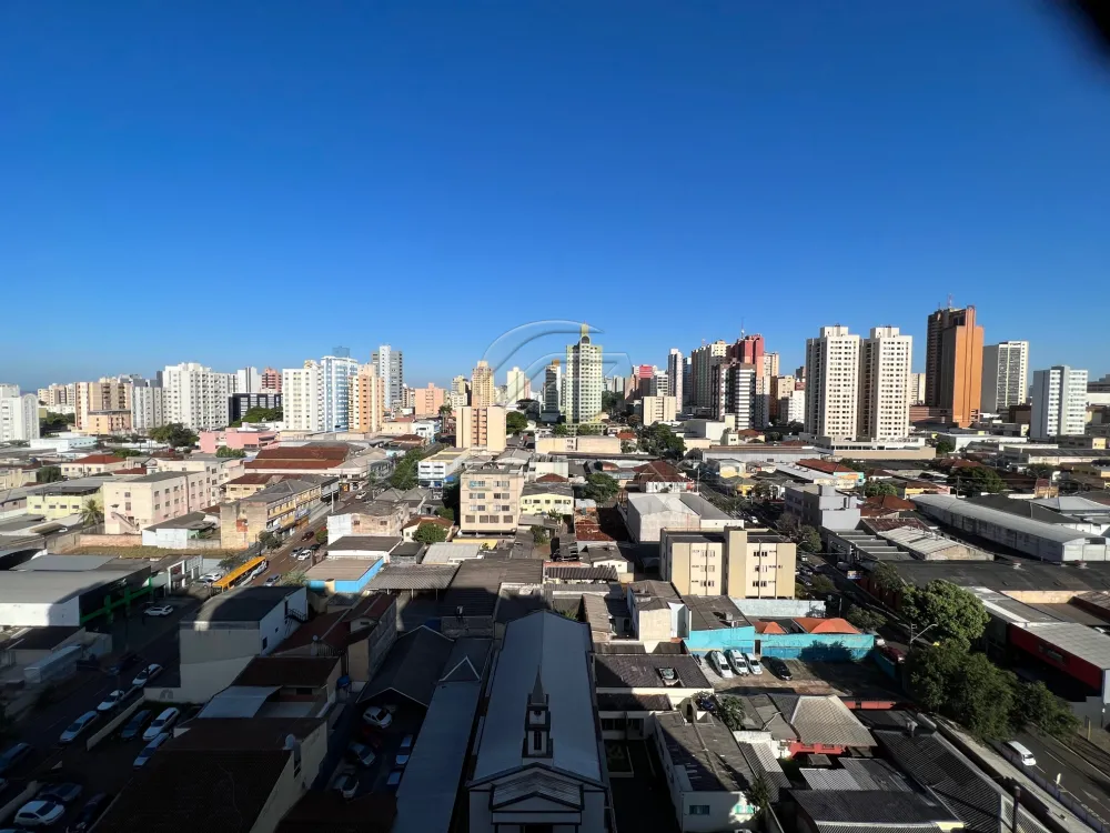 Ed Torres Brasil — foto 5