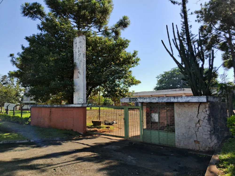 Barracão com 11 mil m² de área construída e terreno com 48 mil m² em Londrina. Foto 3