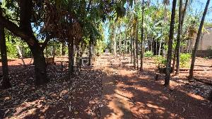 Terreno Comercial | à Venda | Jardim Rosicler | Londrina |. Foto 4