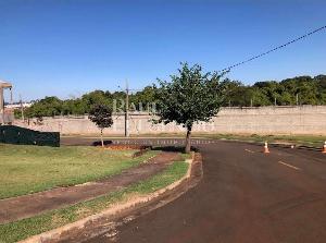 Cond Parque Taua - Araçari — foto 2
