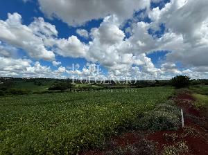 TERRENO INDUSTRIAL - SAIDA PARA IBIPORA — foto 4