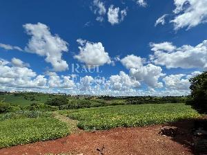 TERRENO INDUSTRIAL - SAIDA PARA IBIPORA — foto 2