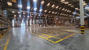 Barracão para alugar em Londrina, zoneamento industrial — foto 5