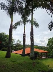 chacara a venda em rolandia. Foto 5
