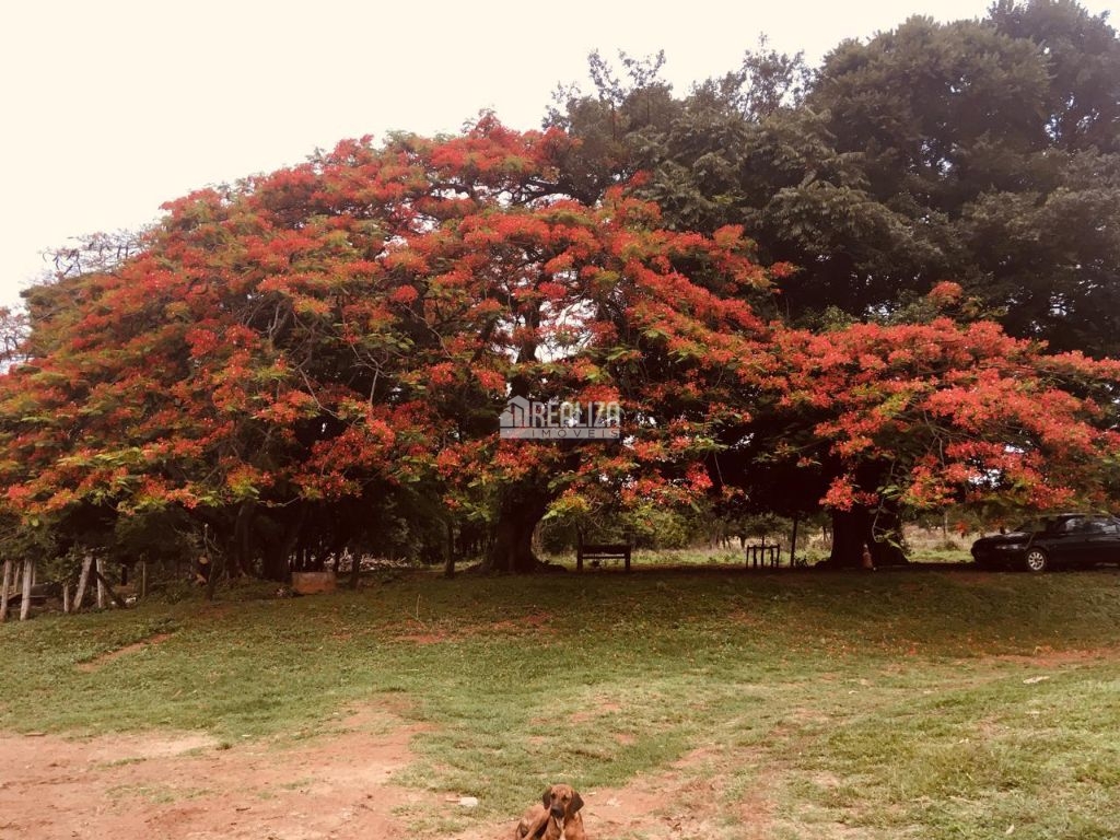 Fazenda-Sítio-Chácara, 3 quartos - Foto 24