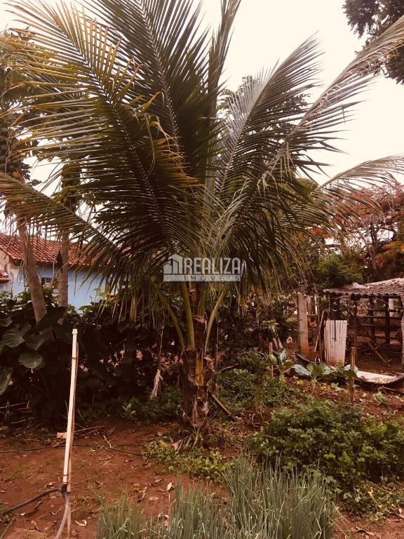 Fazenda-Sítio-Chácara, 3 quartos - Foto 20