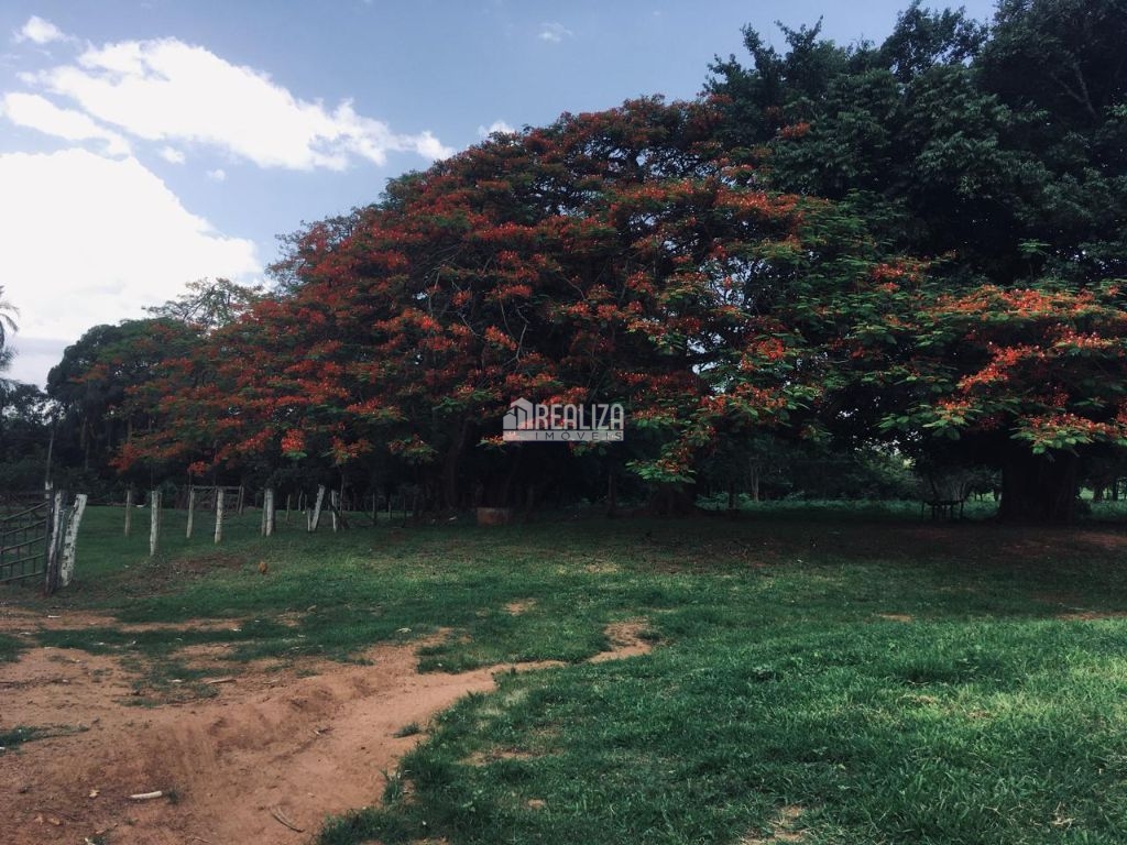 Fazenda-Sítio-Chácara, 3 quartos - Foto 5