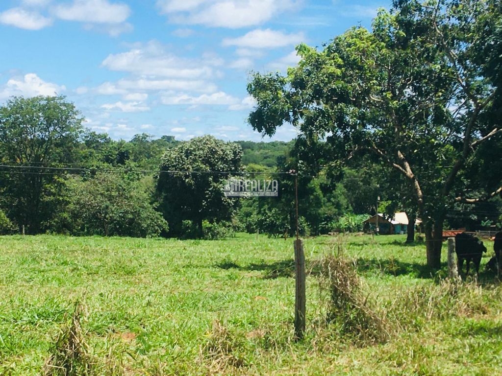 Fazenda-Sítio-Chácara, 3 quartos - Foto 6