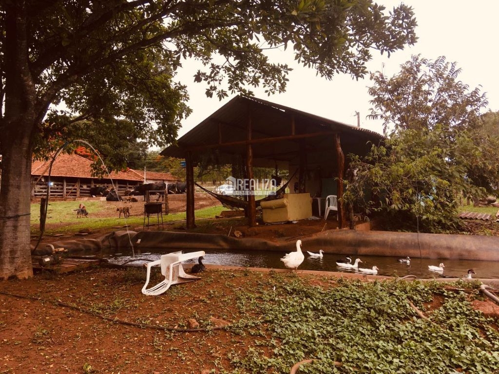 Fazenda-Sítio-Chácara, 3 quartos - Foto 10