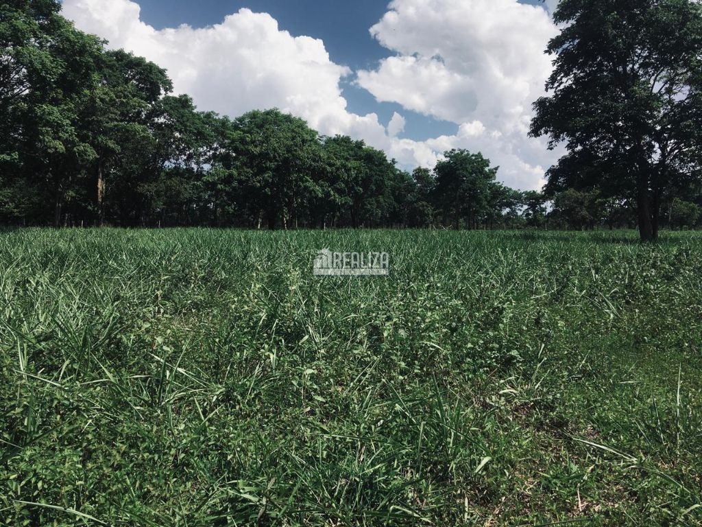 Fazenda-Sítio-Chácara, 3 quartos - Foto 16