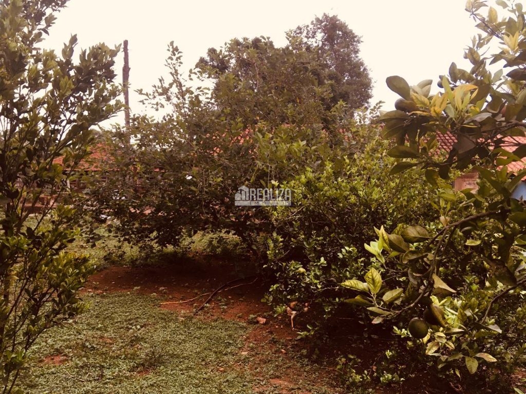 Fazenda-Sítio-Chácara, 3 quartos - Foto 21