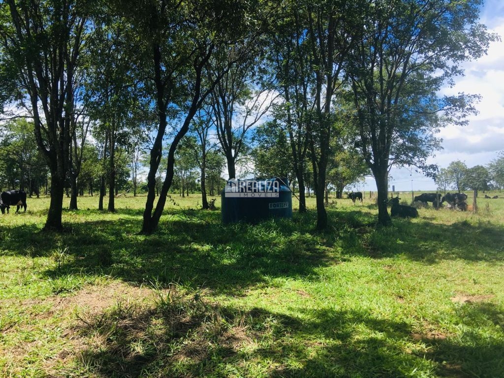 Fazenda-Sítio-Chácara, 3 quartos - Foto 17