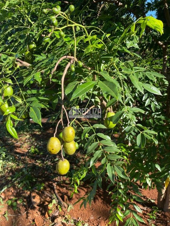 Casa de 4 quartos, 368m² no bairro Campo de Aviação, em Igarapava | Eu Corretor