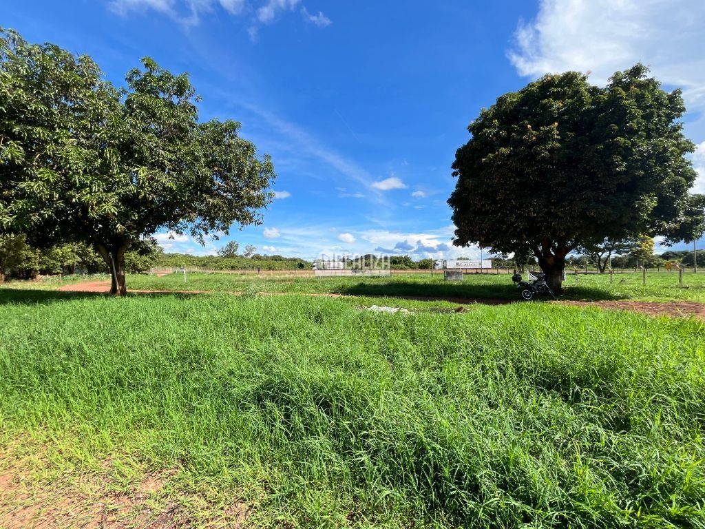 Chácara, 2 quartos, 2 hectares - Foto 5