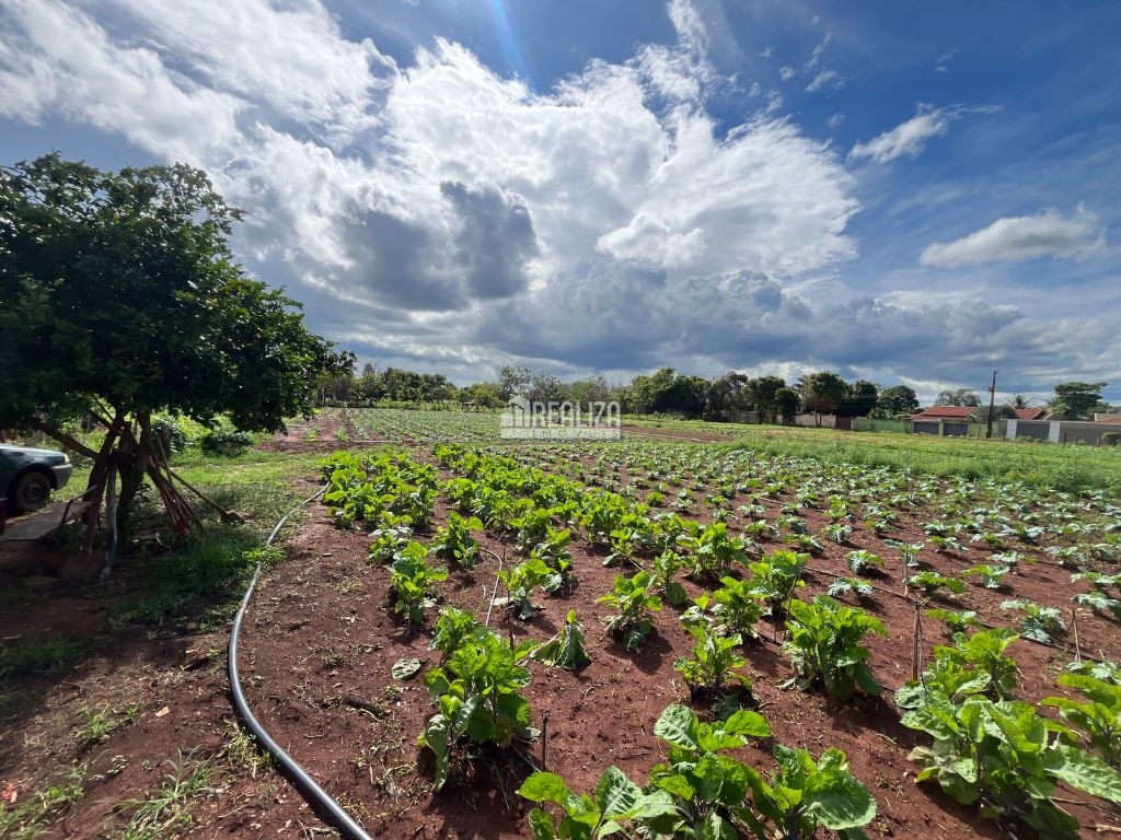 Chácara, 10000 m² - Foto 2