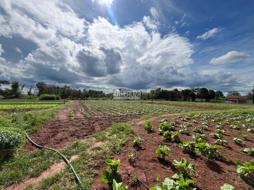 Chácara, 10000 m² - Foto 4