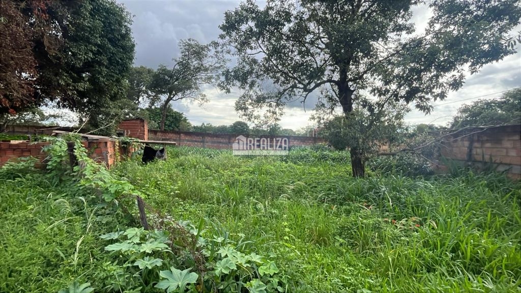 Chácara, 2 quartos, 2000 m² - Foto 5