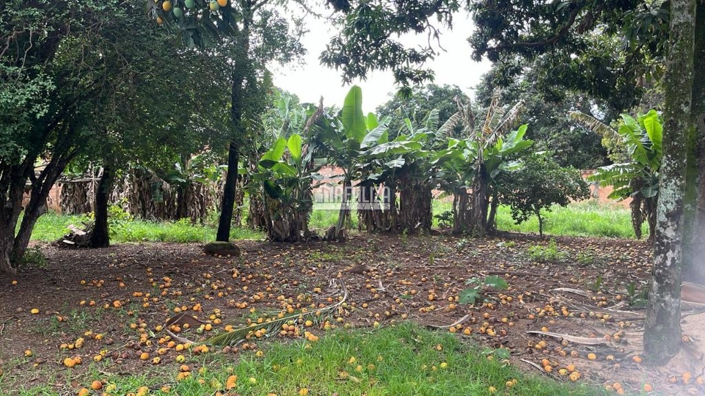 Chácara, 4 quartos, 2000 m² - Foto 2