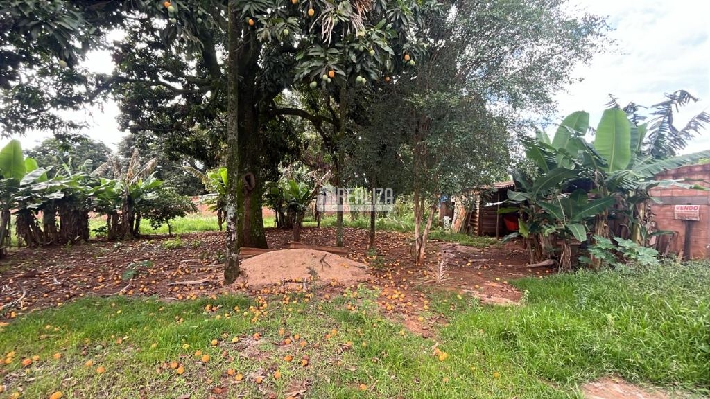 Chácara, 4 quartos, 2000 m² - Foto 1