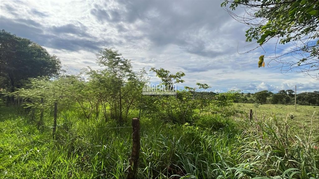 Chácara, 2 hectares - Foto 1