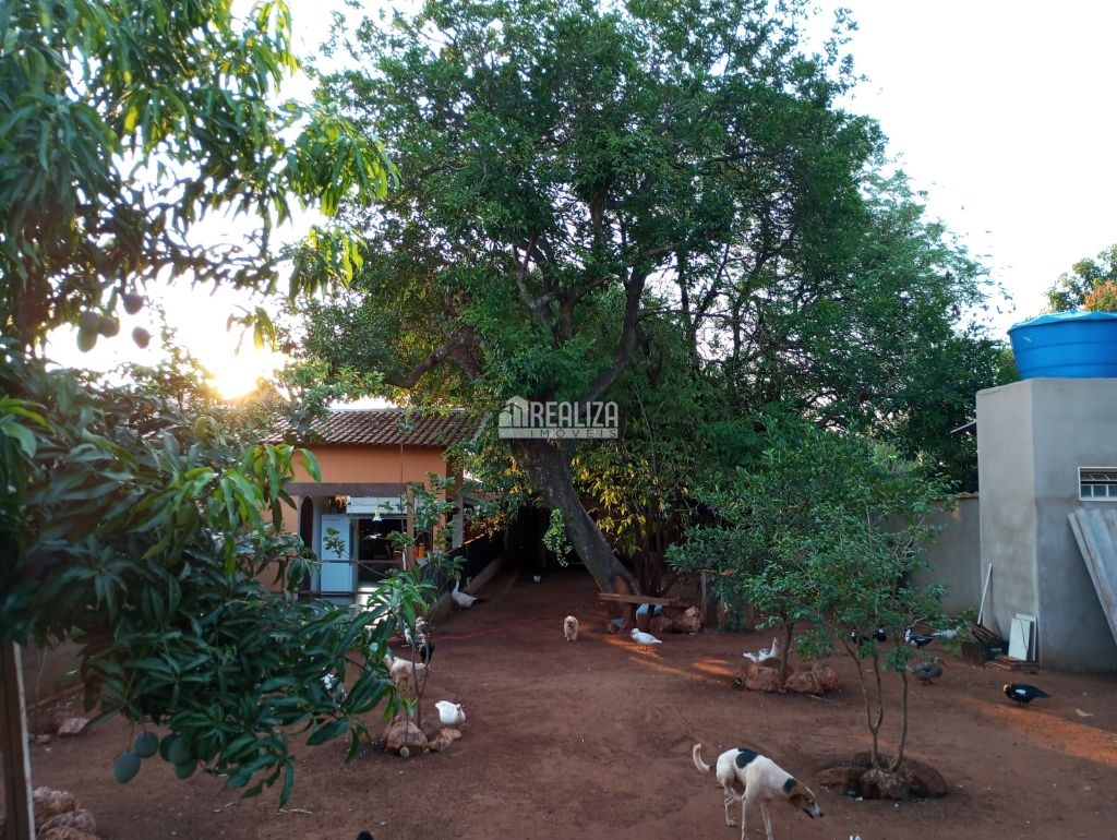 Chácara, 3 quartos, 954 m² - Foto 17