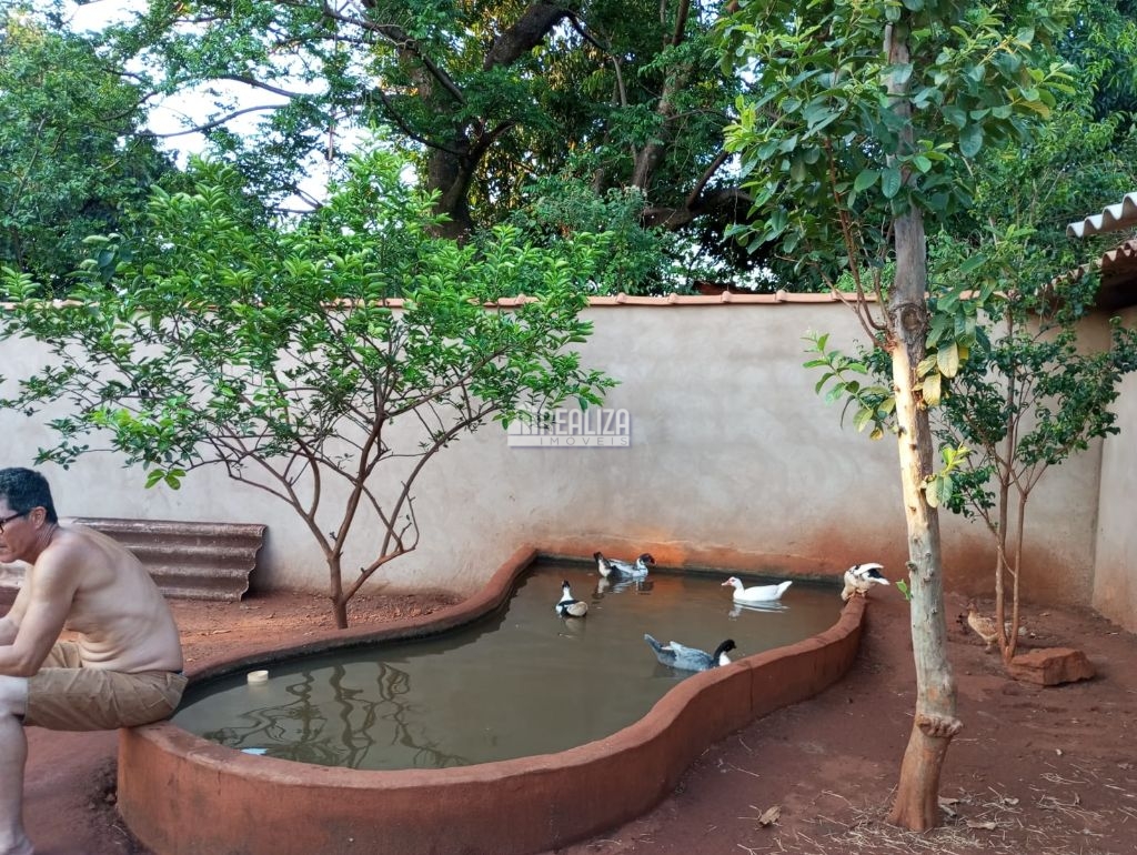 Chácara, 3 quartos, 954 m² - Foto 14