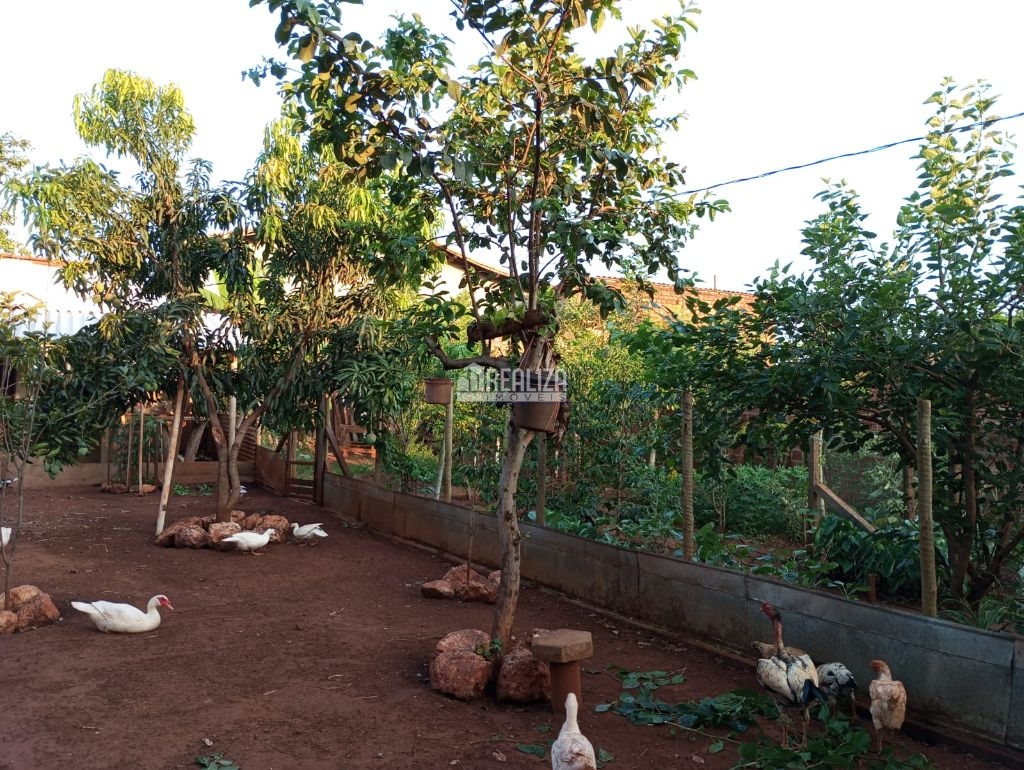 Chácara, 3 quartos, 954 m² - Foto 7