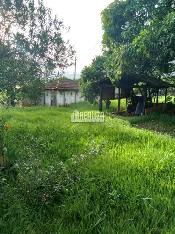 Chácara, 4 quartos, 1 hectares - Foto 7