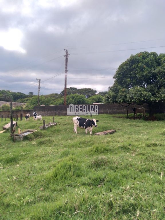 Chácara, 4 quartos, 1 hectares - Foto 3