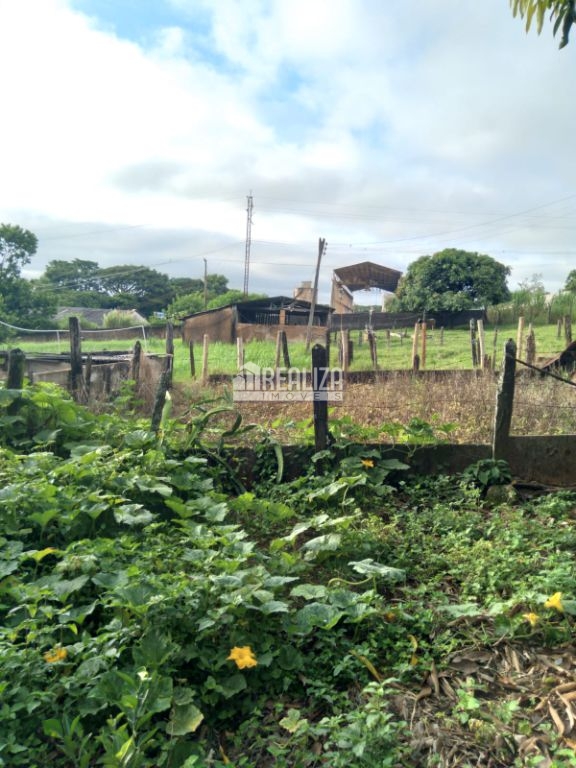 Chácara, 4 quartos, 1 hectares - Foto 5