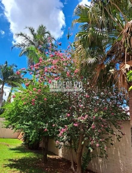 Casa, 3 quartos, 268 m² - Foto 16