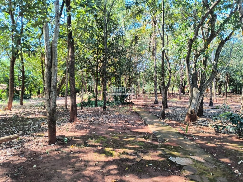 Chácara, 3 quartos, 2 hectares - Foto 24