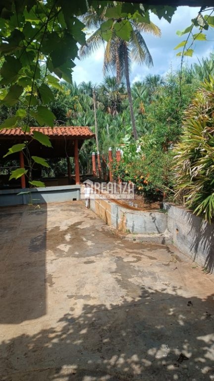 Sítio, 1 hectares - Foto 21