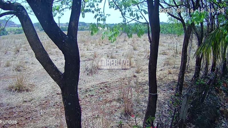 Sítio, 1 hectares - Foto 24