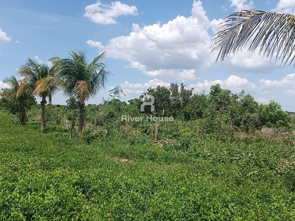 Encantadora fazenda à venda na zona rural de nossa senhora d