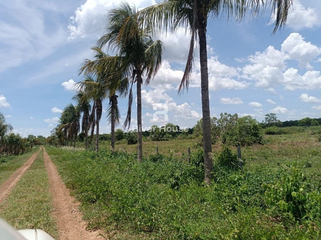 Encantadora fazenda à venda na zona rural de nossa senhora d