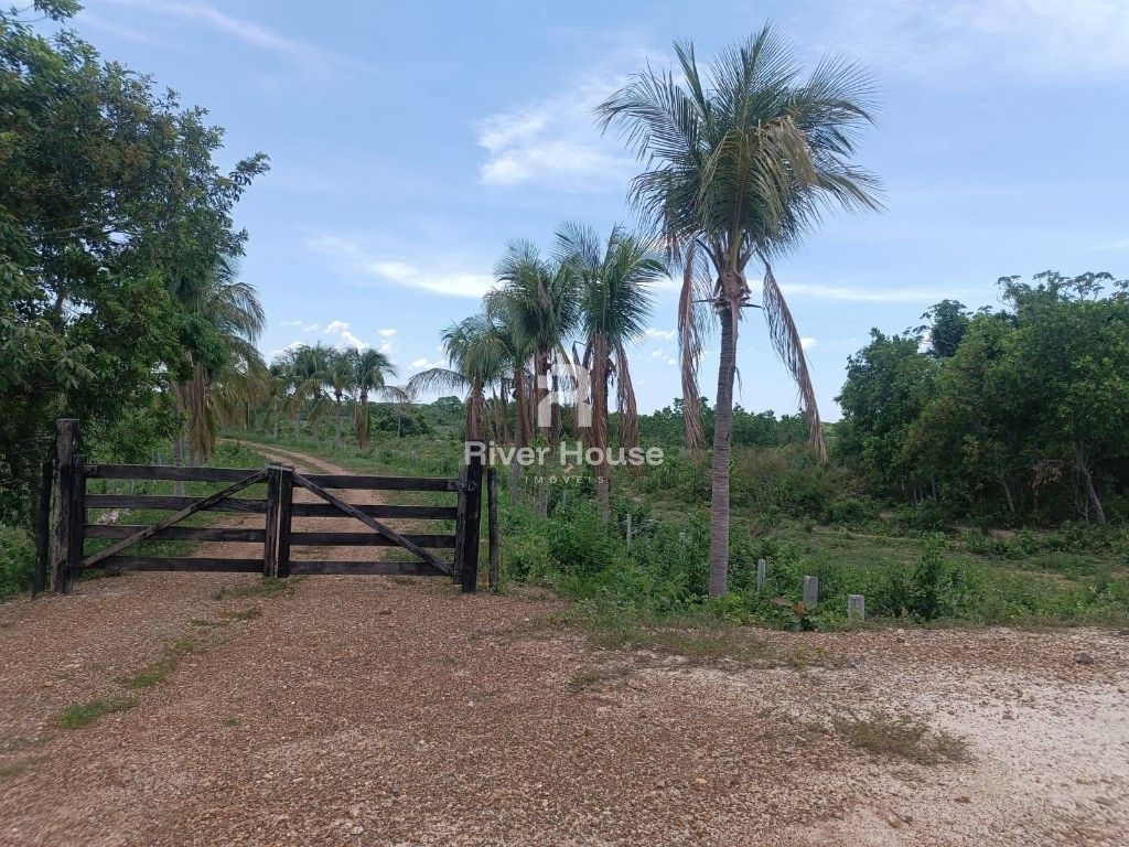 Encantadora fazenda à venda na zona rural de nossa senhora d