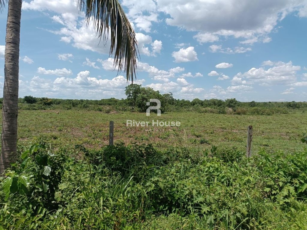 Encantadora fazenda à venda na zona rural de nossa senhora d