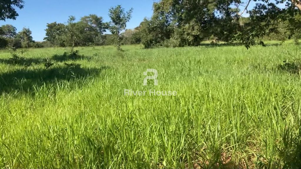 Venda de rural / fazenda na cidade de poconé
