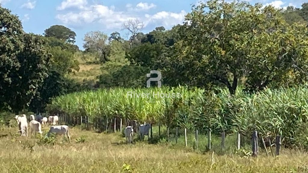 Venda de rural / fazenda na cidade de poconé